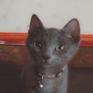 Meet your Posher, Luis